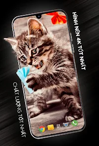 Hình nền mèo ở 4K - Ứng dụng trên Google Play
