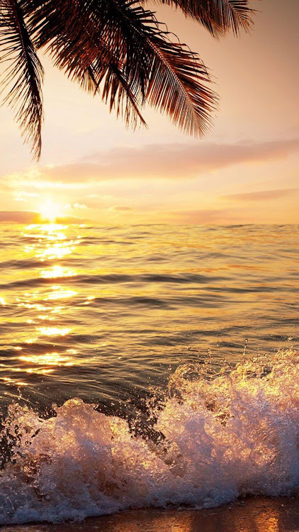 Beach Sunset Live Wallpaper - 8.0 - (Android)