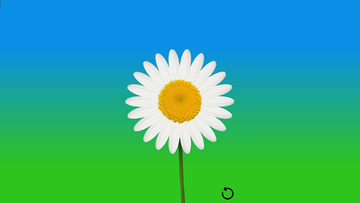 Daisy Fortune telling