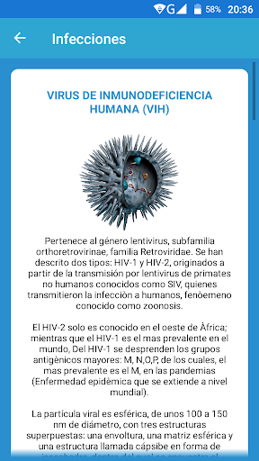 Guia Diagnostica ITS Screen 3