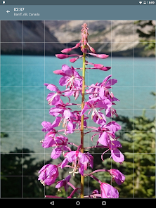 Captura 18 Rompecabezas: Flores android