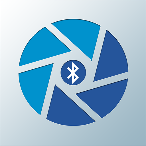 Bluespec BLE logo