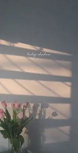 [WISH] tulip shadow 카톡 테마