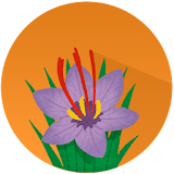 Saffron Recipes icon