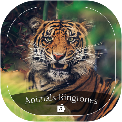 Animals Ringtone logo