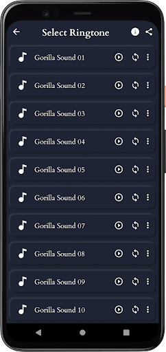 Gorilla Sounds Screen 3