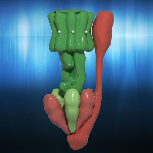 Android application ATP Synthase [AR] screenshort