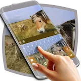 Horse Keyboard Theme icon