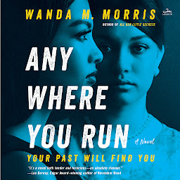 Obraz ikony: Anywhere You Run: A Novel