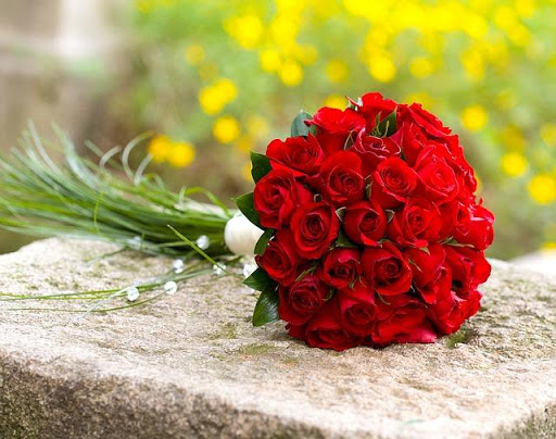 Rosas Rojas de Amor Screen 3