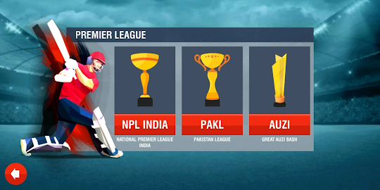 Indian Cricket league 2024 ICL