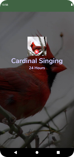 Android application Cardinal Singing & Call Sounds screenshort