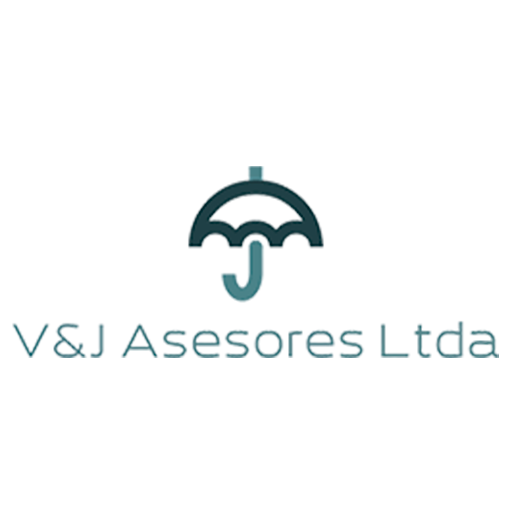 VyJ Asesores Ltda