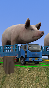 Pig Truck