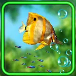 Cover Image of Download Fishes Aquarium HD  APK