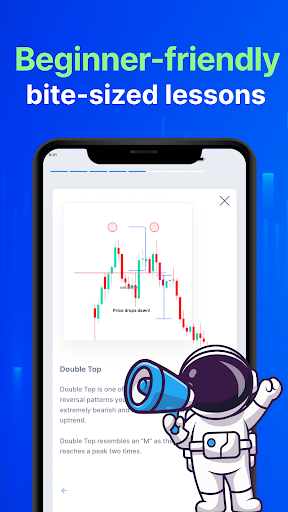 Screenshot of Forex Academy