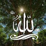 Cover Image of Descargar أسماء الله الحسني  APK