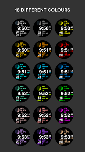 Swiss Watch Face Screen 3