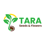 Tara Seeds and Flowers