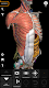 screenshot of Anatomy 3D Atlas