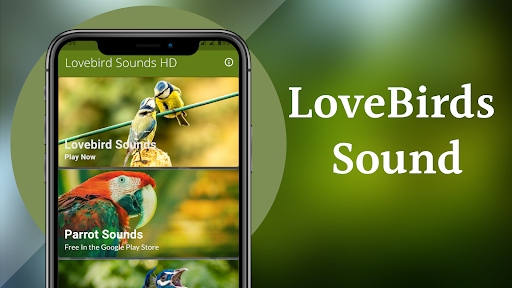 Lovebird Sounds Screen 2