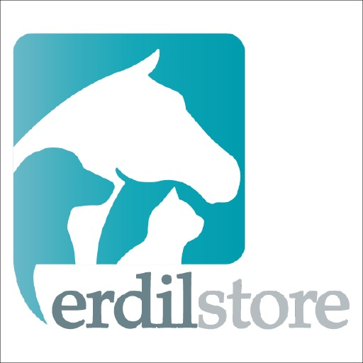 Erdil Store logo