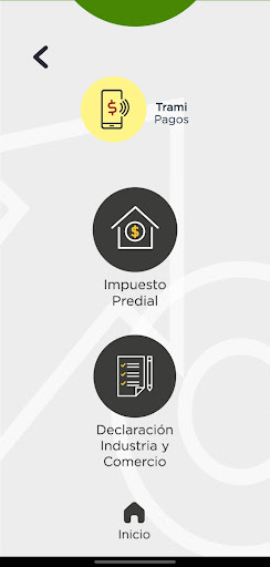 Trami App San Martin Cesar Screen 3