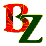 BZ Delivery Service icon