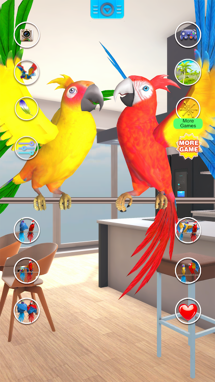 Talking Parrot Couple - 1.9.2 - (Android)
