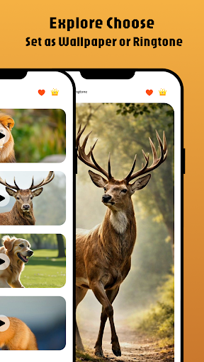 Animal Ringtones: & Ai Sounds screenshot 5