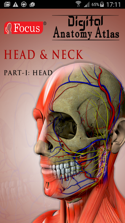 Head and Neck- Digital Anatomy - 1.0.8 - (Android)