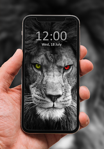 Lion Wallpaper HD Offline