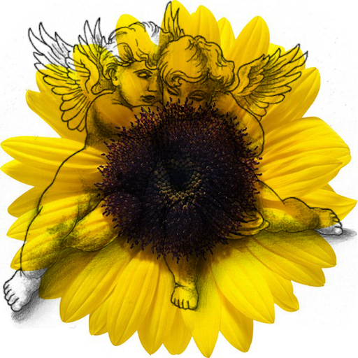Genealogical tree 3D logo
