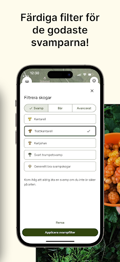 Hitta Skog Screen 3