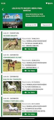 Fiel Leilões Screen 2