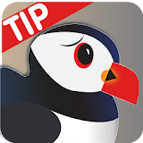 New Puffin Browser Tip 2017 icon