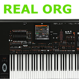 real organ playing icon