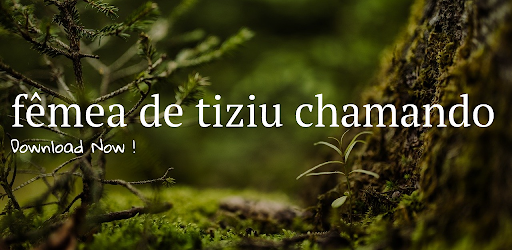 Android application fêmea de tiziu chamando screenshort