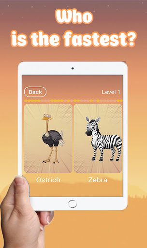 Yuhd Zoo Quiz