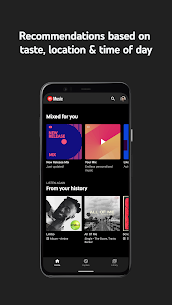 YouTube Music Premium Apk 2