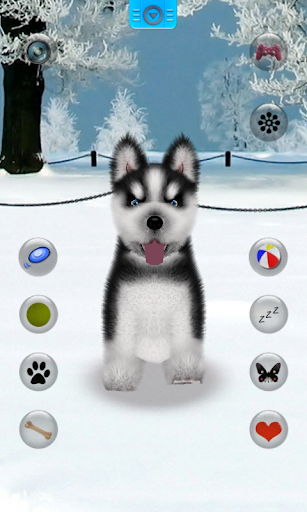 Android application Talking Siberian Husky screenshort