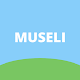 Museli - Beginner Guitar Lessons Download on Windows