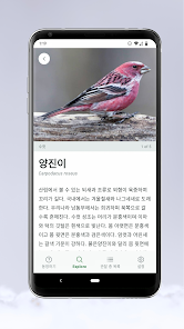 스크린샷 이미지