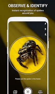 Spider Identifier App by Photo Unknown
