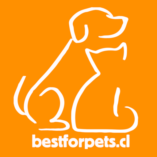 Best For Pets: tienda mascotas logo