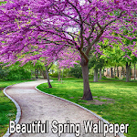 Beautiful Spring Wallpaper Apk