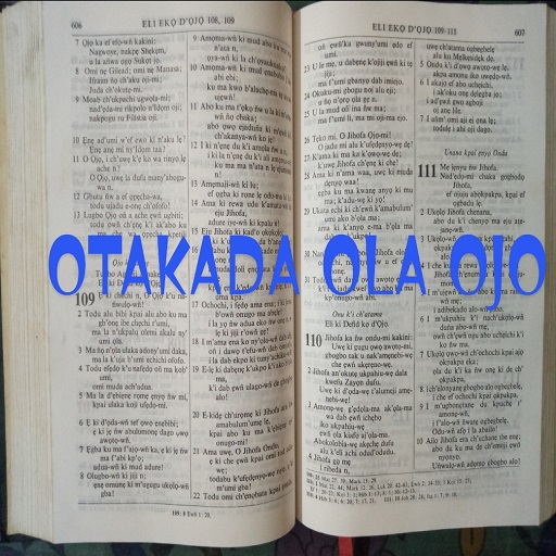 Ọtakada Ọla Ọjọ Plus logo
