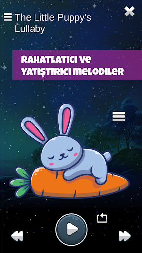 Uygulama önizlemesi