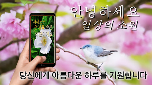 Android application Korean Good Morning Everyday screenshort