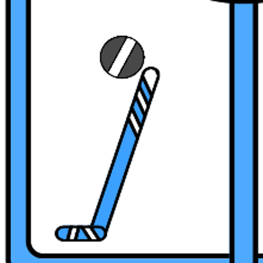 Hockey Hockey Goal